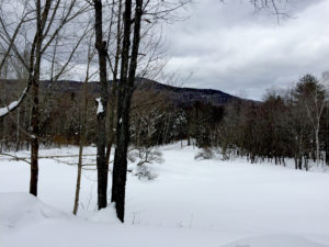 Pinnacle mountain in the Winter