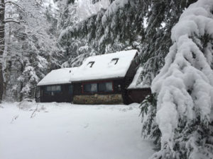 The Cole Cabin in Winter (pond-side)
