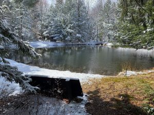 Pond with snow